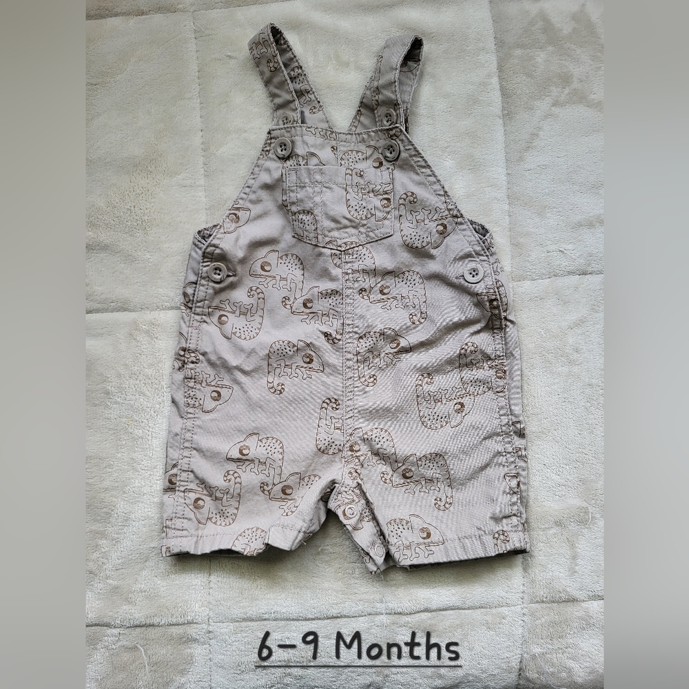 Carter's chameleon overalls